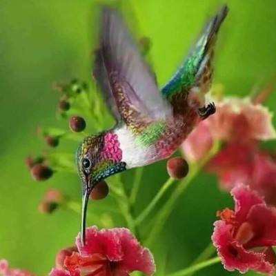 炸金花游戏下载手机版